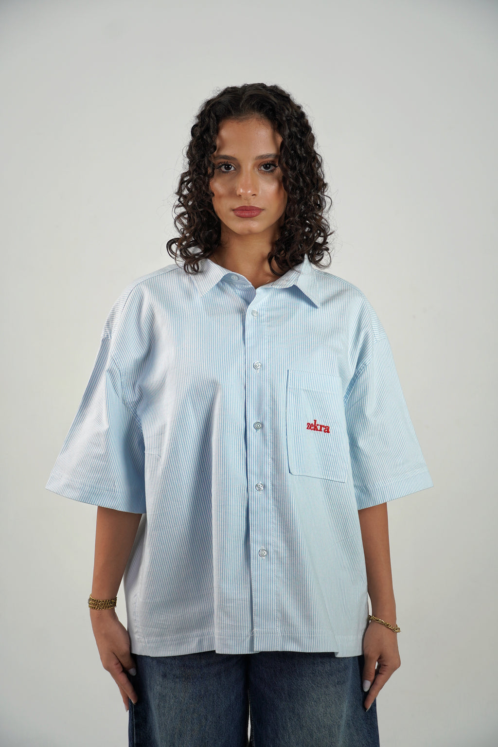 Zekra Stripped shirt